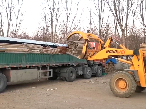 潍坊脚手架租赁